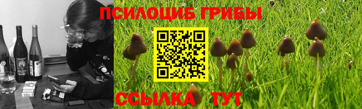 Галлюциногенные грибы Magic Shrooms  Вход с VPN  Нововоронеж 
